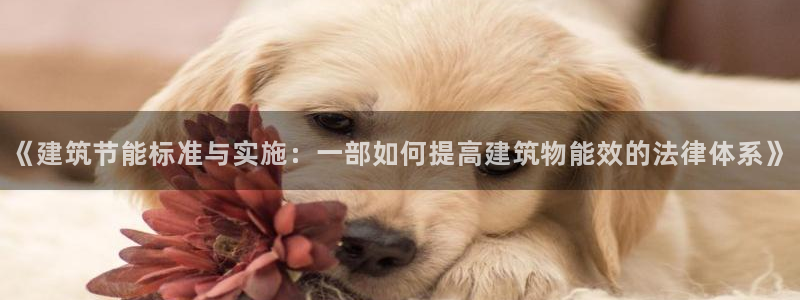 e尊国际官网·网址：《建筑节能标准与实施：一部如何提高建筑物能效的法律体系》