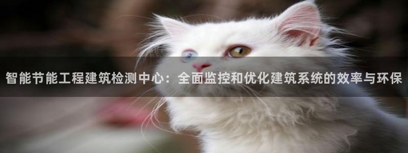 e尊国际地址：智能节能工程建筑检测中心：全面监控和优化建筑系统的效率与环保