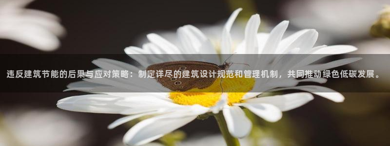 E尊国际：违反建筑节能的后果与应对策略：制定详尽的建筑设计规范和管理机制，共同推动绿色低碳发展。