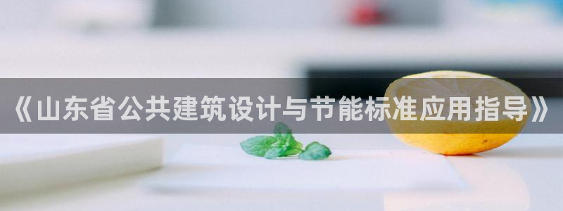谁知道e尊国际的网址：《山东省公共建筑设计与节能标准应用指导》