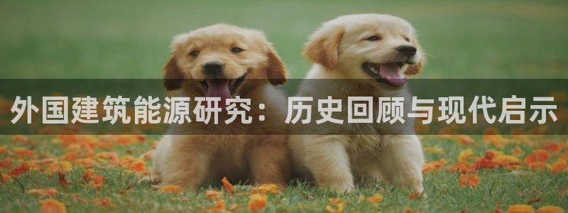 e尊国际平台：外国建筑能源研究：历史回顾与现代启示