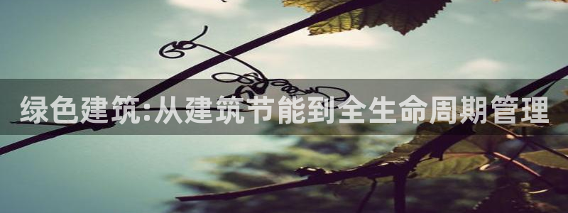 e尊国际客户端下载：绿色建筑:从建筑节能到全生命周期管理