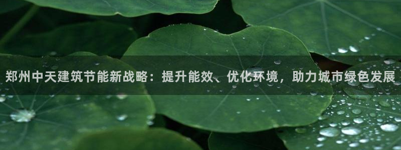 e尊国际娱乐官网地址：郑州中天建筑节能新战略：提升能效、优化环境，助力城市绿色发展