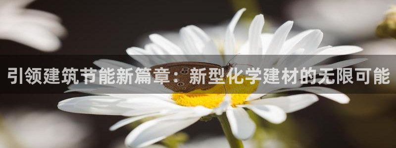 e尊国际娱乐官网地址：引领建筑节能新篇章：新型化学建材的无限可能