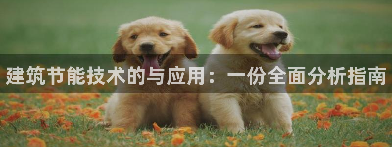 e尊国际-e尊国际官网：建筑节能技术的与应用：一份全面分析指南