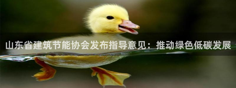 e尊国际官网·网址：山东省建筑节能协会发布指导意见：推动绿色低碳发展