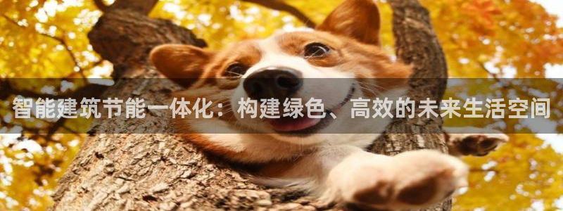 e尊国际娱乐官网下载：智能建筑节能一体化：构建绿色、高效的未来生活空间