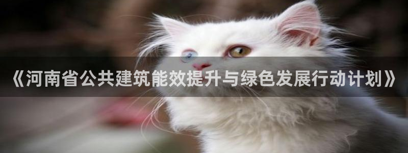 e尊国际官方网站：《河南省公共建筑能效提升与绿色发展行动计划》
