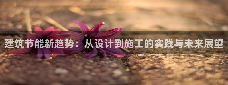 e尊国际娱乐官网下载：建筑节能新趋势：从设计到施工的实践与未来展望