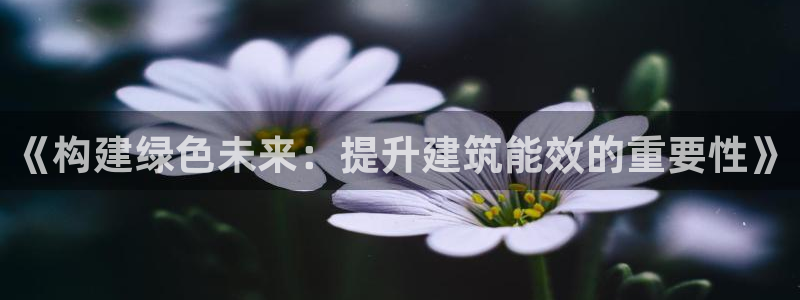 e尊国际7779：《构建绿色未来：提升建筑能效的重要性》