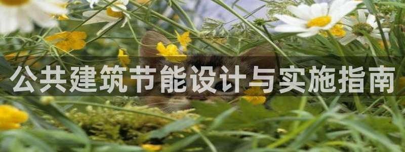 e尊国际是干什么的：公共建筑节能设计与实施指南
