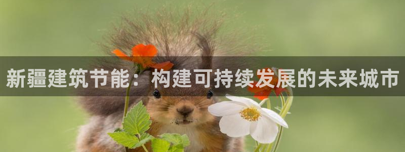 e尊国际娱乐官网地址