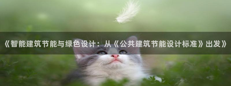 e尊国际是干什么的