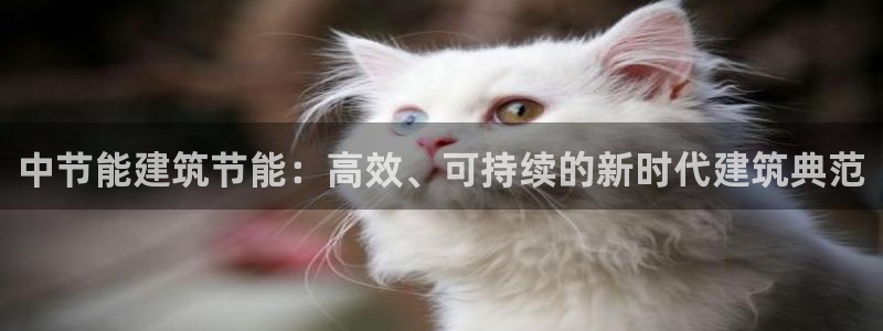 e尊国际客户端下载：中节能建筑节能：高效、可持续的新时代建筑典范