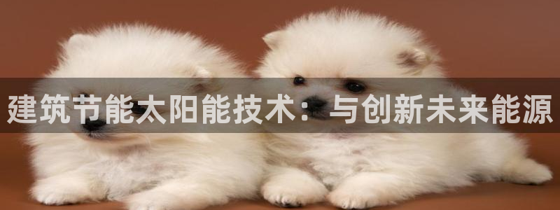 e尊官网：建筑节能太阳能技术：与创新未来能源