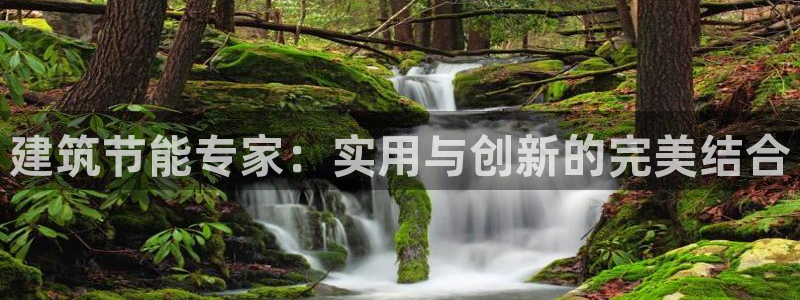 E尊国际：建筑节能专家：实用与创新的完美结合