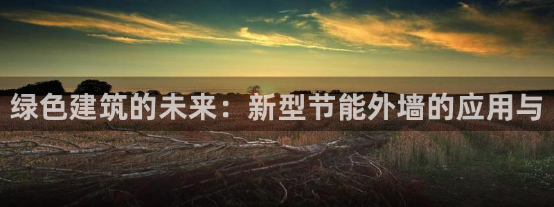 e尊国际平台
