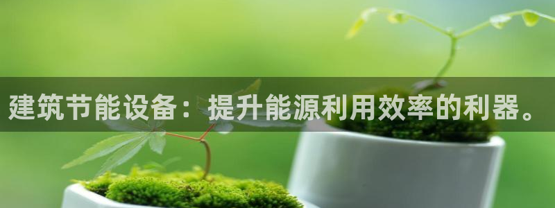 e尊国际-可可计划