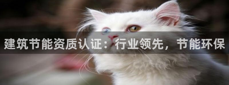 e尊国际平台