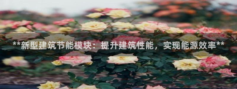 e尊国际官方网站