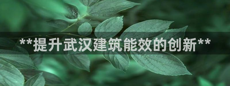 e尊国际娱乐官网地址：**提升武汉建筑能效的创新**