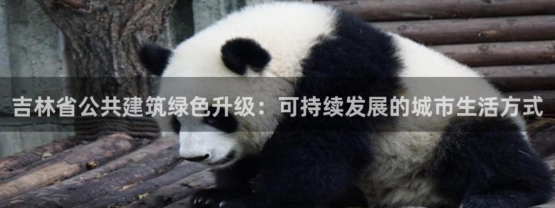 e尊平台：吉林省公共建筑绿色升级：可持续发展的城市生活方式