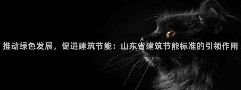 e尊国际是个黑网