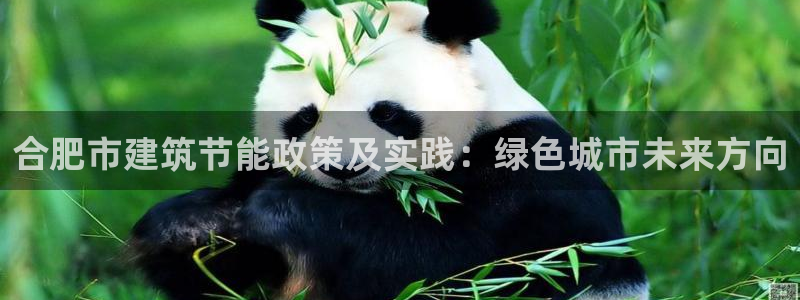 e尊国际的手机登录网站：合肥市建筑节能政策及实践：绿色城市未来方向