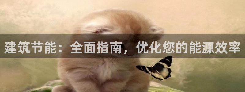 e尊国际官网·网址：建筑节能：全面指南，优化您的能源效率