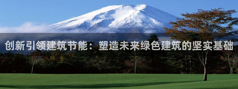 e尊国际是个黑网：创新引领建筑节能：塑造未来绿色建筑的坚实基础