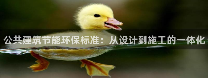 E尊国际：公共建筑节能环保标准：从设计到施工的一体化